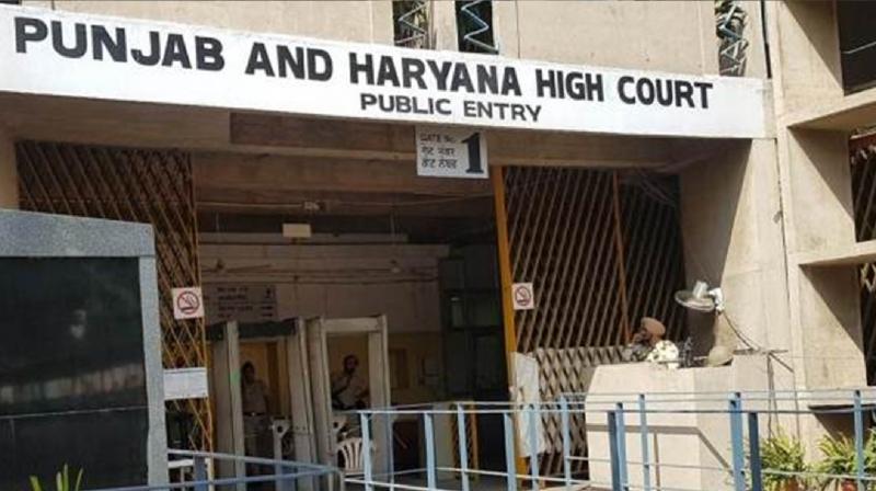 Punjab-Haryana High Court comment - A weaned girl cannot be deprived of her right to mother's love and care