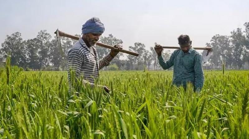 PM Kisan Samman Nidhi Yojana news For Which Farmers The 17th Installment May Get Stuck News In Hindi