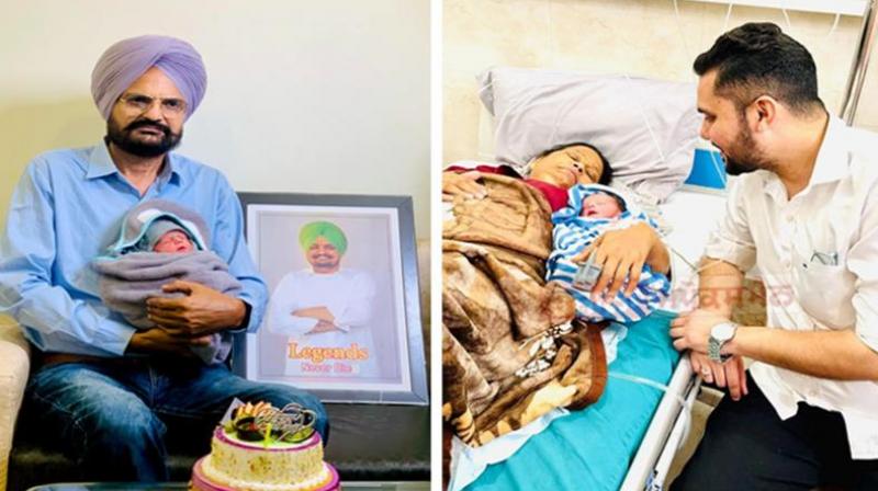 Sidhu Moosewala mother Charan Kaur IVF  treatment  News In Hindi Central government