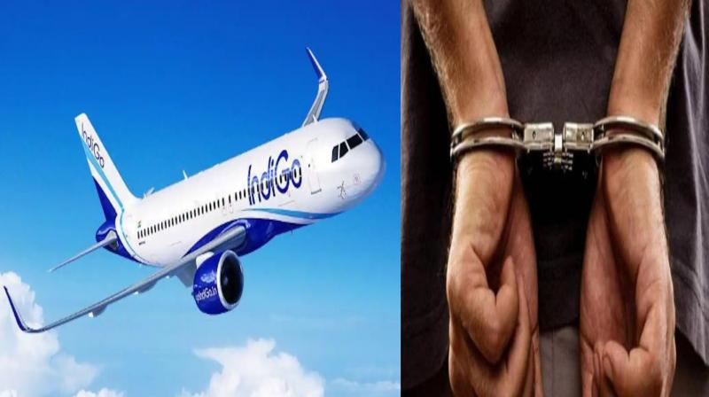 Two arrested for misbehaving after consuming alcohol on Indigo flight