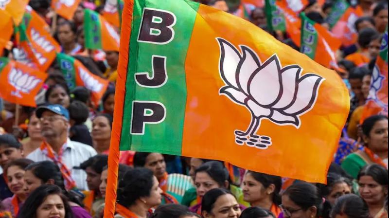BJP releases fourth list of candidates for Lok Sabha elections news in hindi