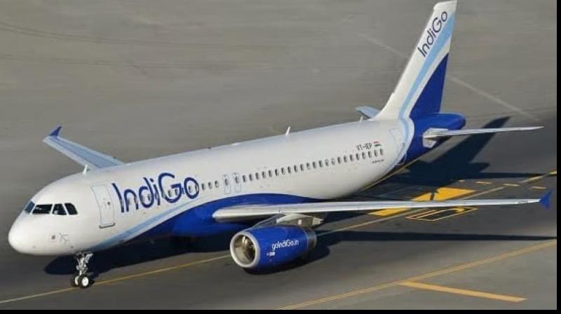 Indigo flight makes emergency landing at Mumbai airport after bomb threat 