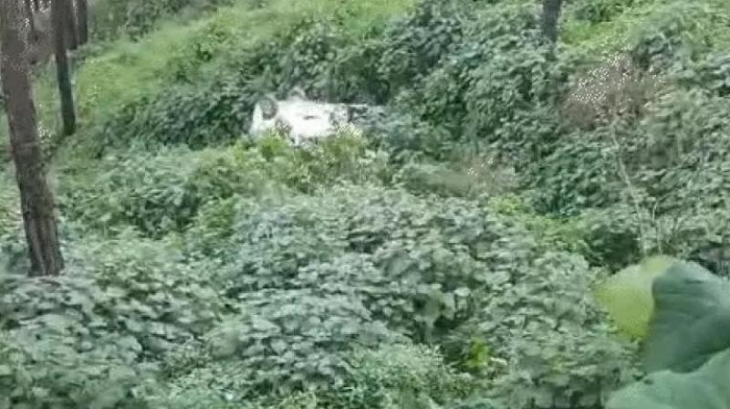 Accident with Punjabis who went to Himachal, car fell into ditch, one dead news in hindi