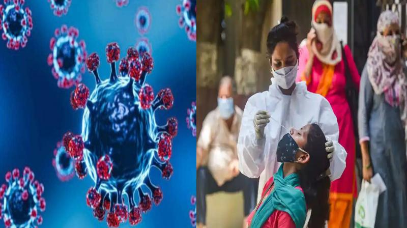 Covid 19: 226 new cases of corona virus infection surfaced in India