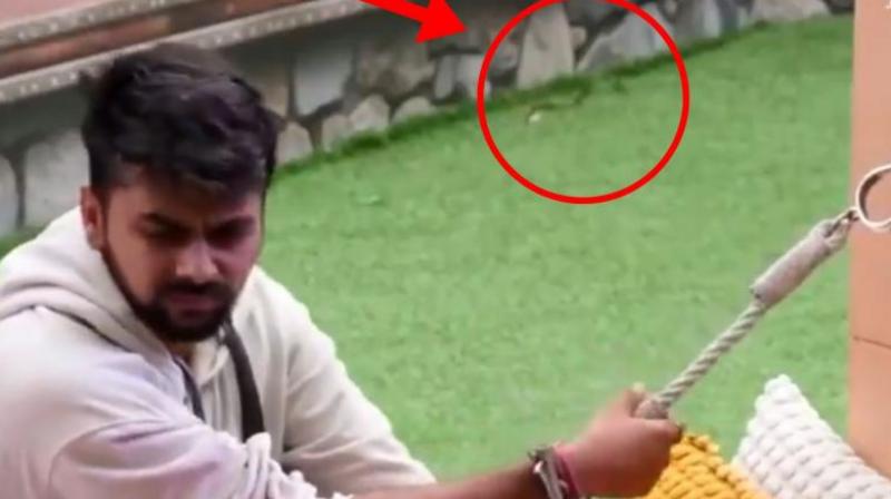 Bigg Boss OTT 3 News Snake seen behind Lavkesh Kataria sitting in the garden