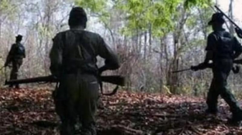 Naxalite carrying reward of eight lakh killed in encounter in Dantewada