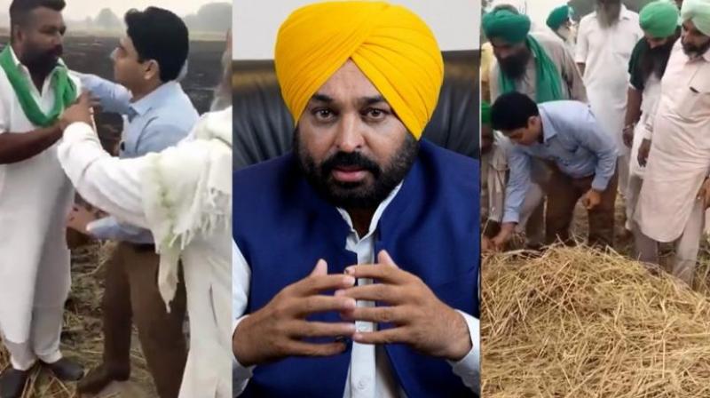 CM Bhagwant Mann's action on the case of government employee setting stubble on fire