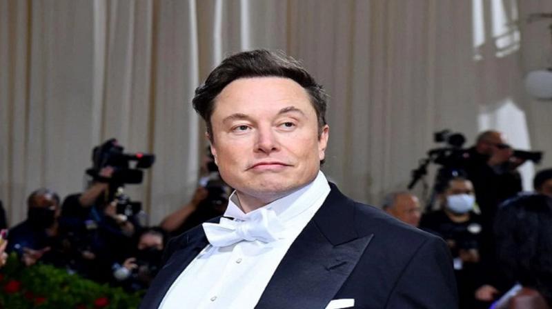 Elon Musk becomes father of 12th child news in hindi