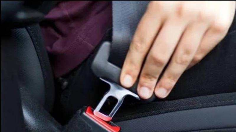  Seat Belts Are Mandatory For Rear Seat Passengers in Chandigarh
