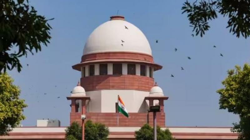 Supreme Court agrees to hear Delhi government's plea