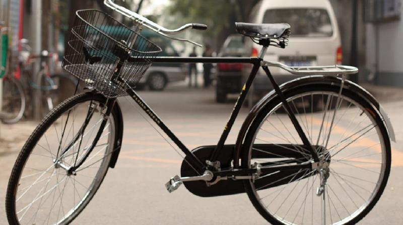 Top Countries with Highest Bicycle Usage news in Hindi 