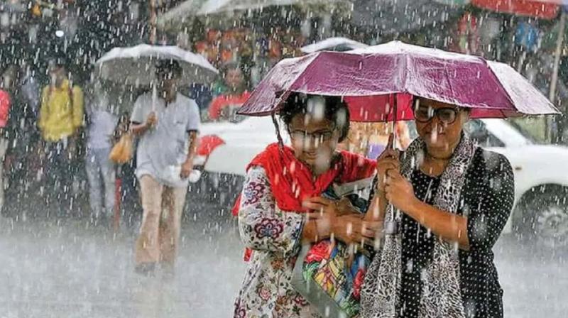 Unseasonal rain forecast in Gujarat Weather News in hindi