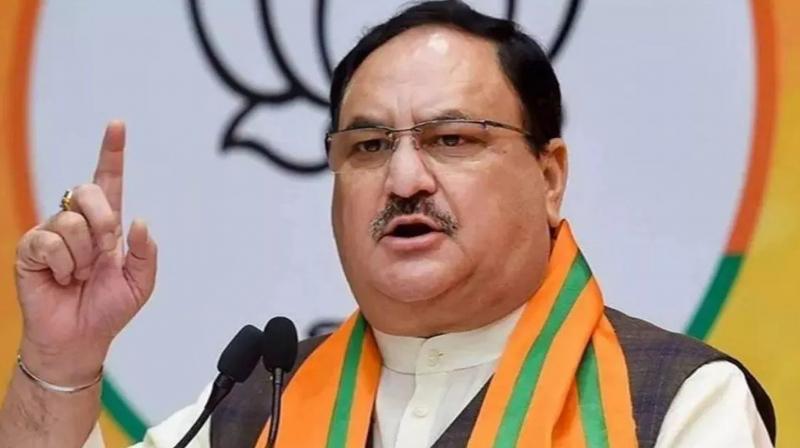  Nadda (file photo)