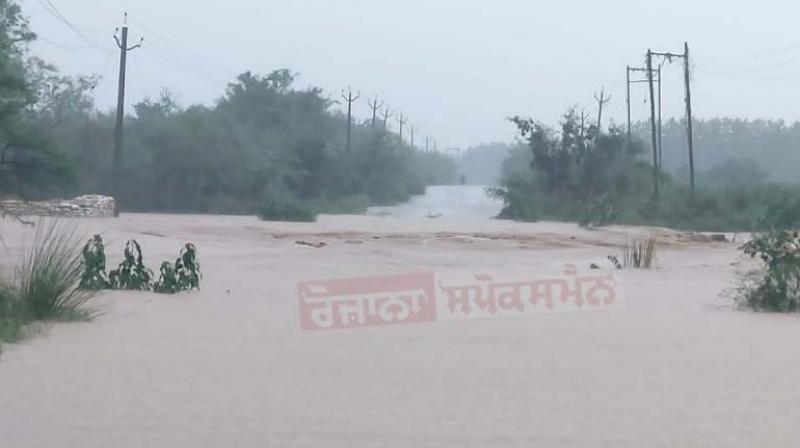 Rain fury in north India; several killed