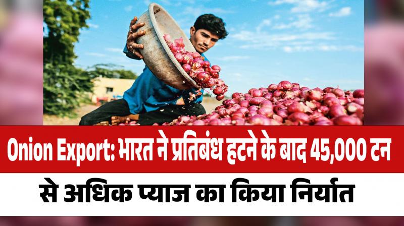 India exported more than 45,000 tonnes of onion after the ban was lifted
