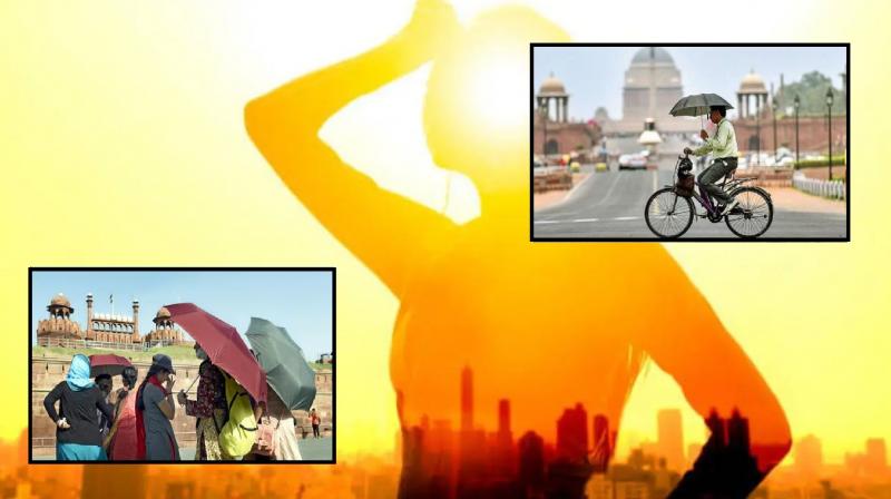 Follow these tips to avoid extreme heat news in hindi