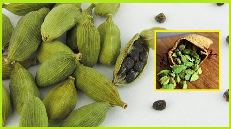 Small cardamom is beneficial for health, know how to use it