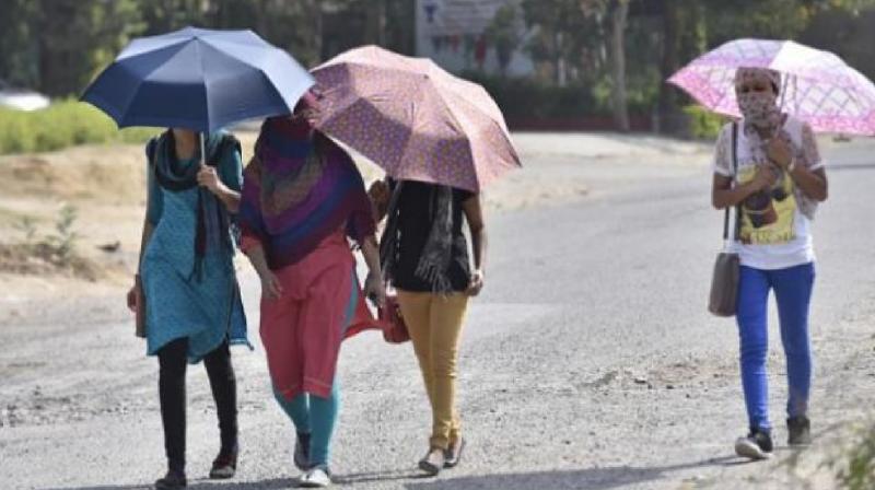 Severe heat begins in Gujarat, temperature continuously increasing in many cities of the state 