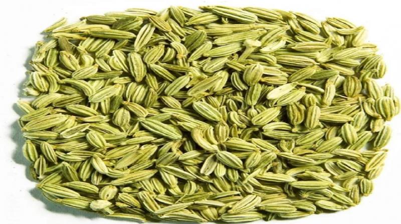 Know how you will remain healthy by using fennel news in hindi