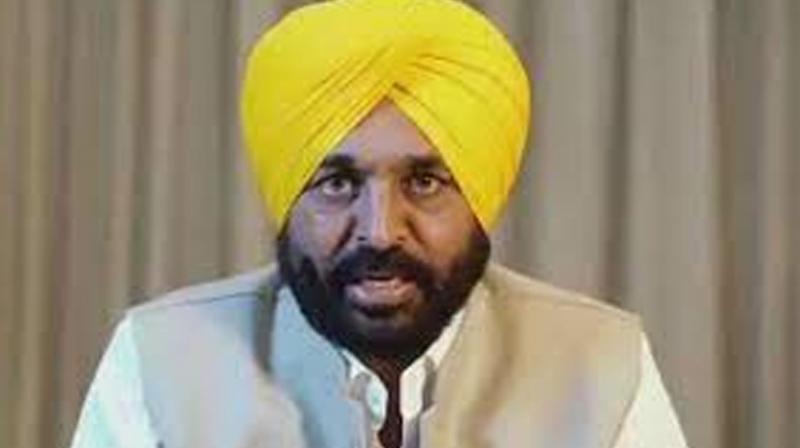 Chief Minister Bhagwant Mann(file photo)