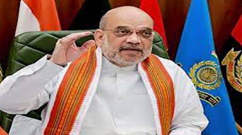 Will ensure flow of essential goods to Manipur: Shah assures civil society group