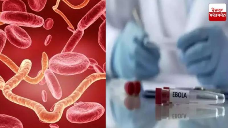 China Create New Virus Like Ebola