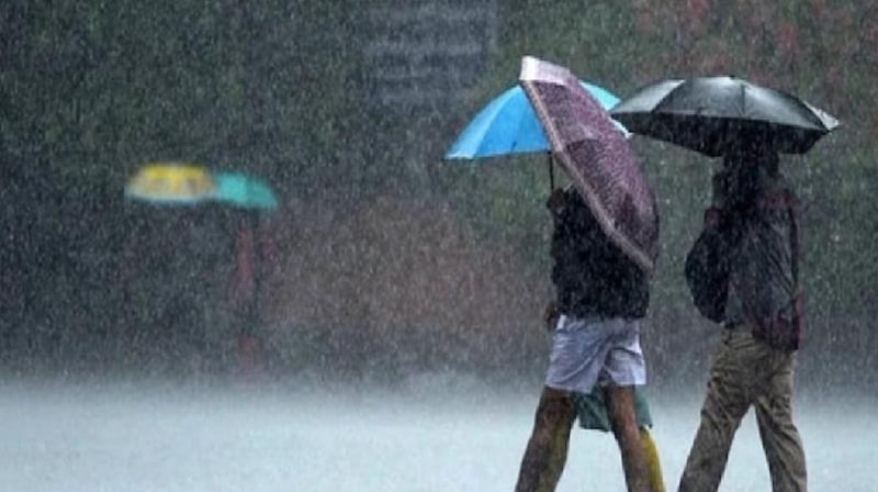 May rain in Rajasthan broke 100 years record
