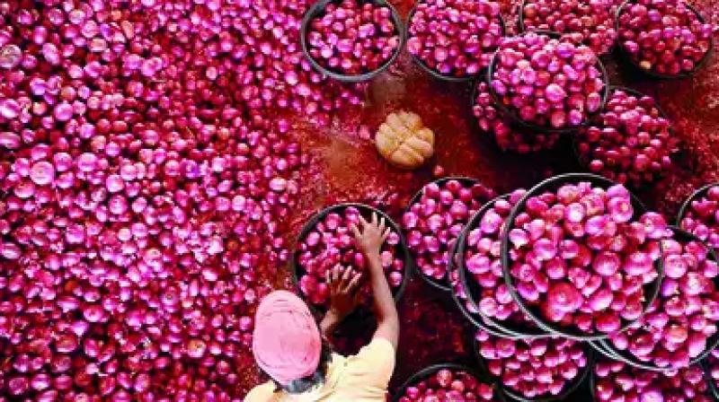 Ban on onion export will continue till March 31