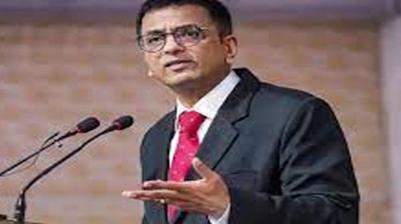 CJI Chandrachud