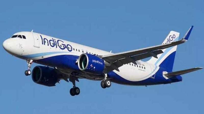 IndiGo passenger tries to open flight door midair, arrested news in hindi
