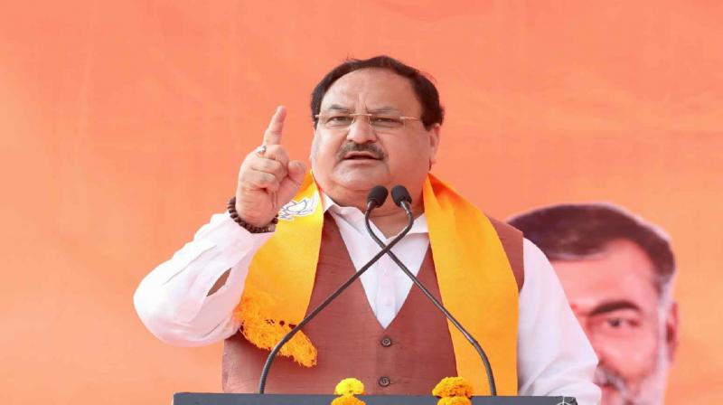  JP Nadda roared in Madhya Pradesh, said, now there will be politics of development and report card