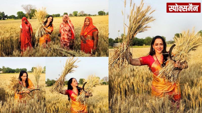 Hema Malini reached the fields,strange reactions to the viral pictures news in hindi