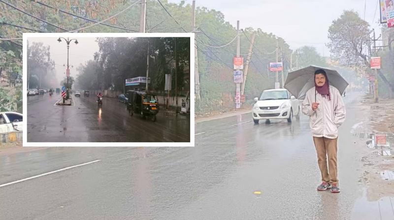 Monsoon will reach Haryana soon news in hindi