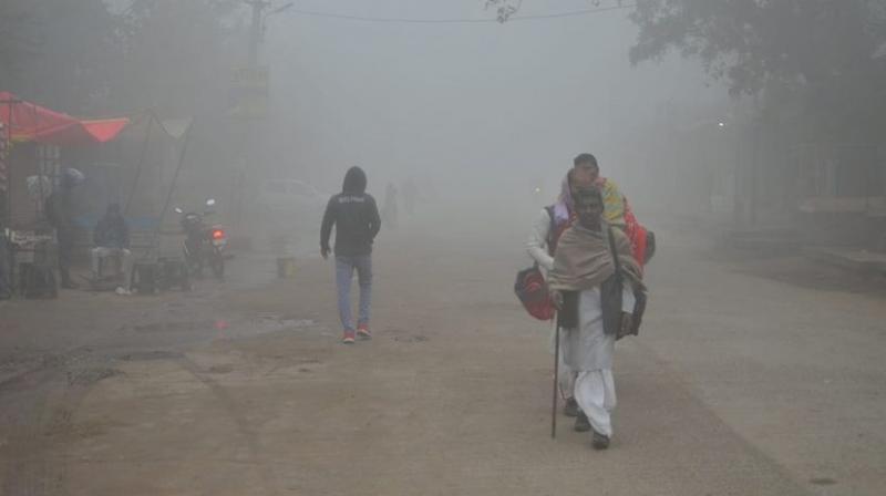 Dense fog in many areas of Rajasthan, mercury at 4.6 degree Celsius in Bikaner