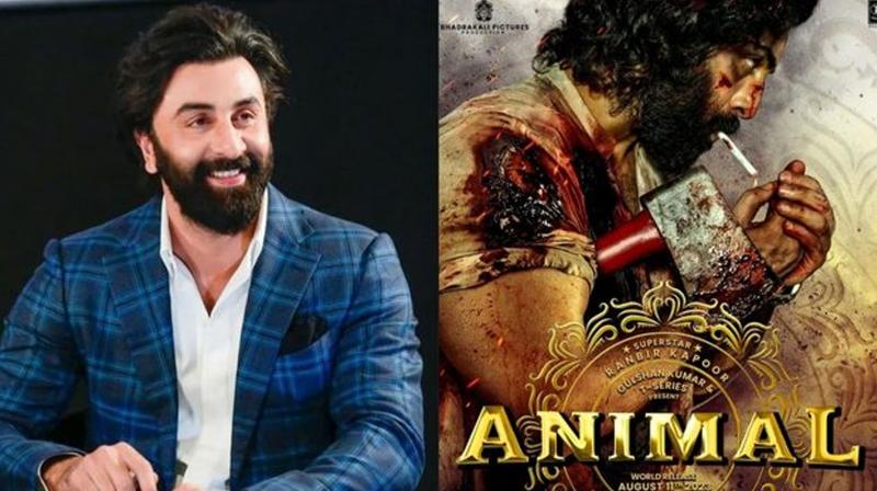 Ranbir Kapoor's Animal is getting bumper advance booking