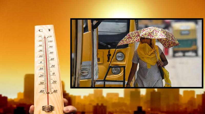 Chandigarh Heat Wave Advisory News in hindi