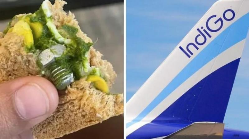  IndiGo passenger claims screw found in Sandwich News In Hindi