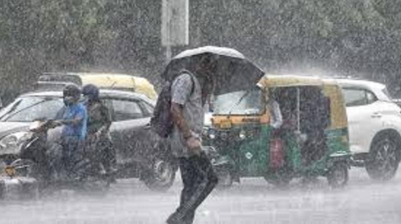  Punjab Weather Update news in hindi
