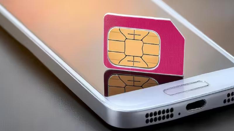 SIM card portability rules will change from July 1 News In Hindi