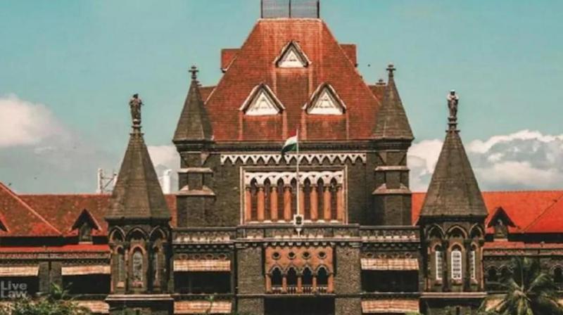 Transgender person who undergoes surgery to become female can seek relief under Domestic Violence Act: Bombay HC