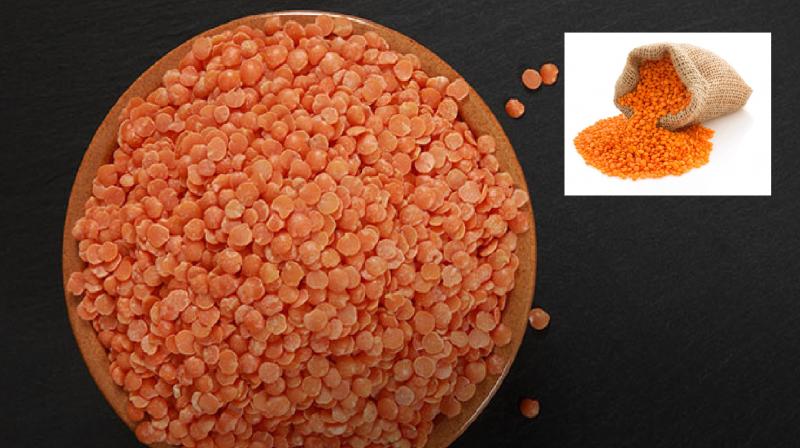 Benefits Of Eating Masoor Dal? Eating Too Much Can Cause Side Effects news