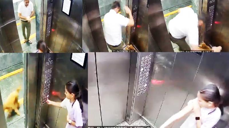 Dog bite girl in lift, CCTV goes viral news in hindi