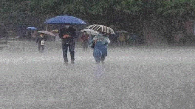 Heavy rains in many areas of Rajasthan, life affected