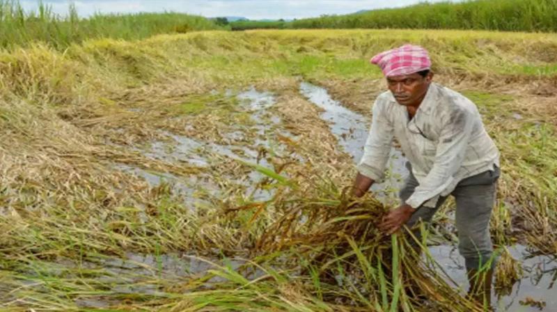 Maharashtra Assembly: Opposition demands relief to farmers affected by unseasonal rains