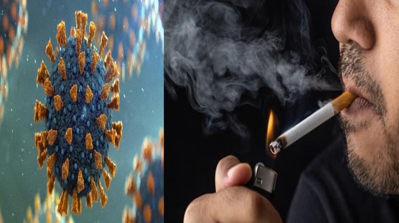Cigarette smoke also responsible for severity of COVID-19 infection: AIIMS study
