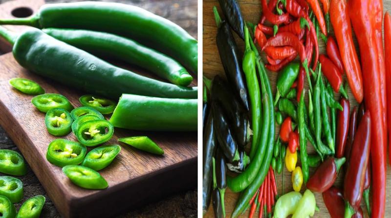 Chili Day: Know when is National Chilli Day?, don't forget to see this easy recipe