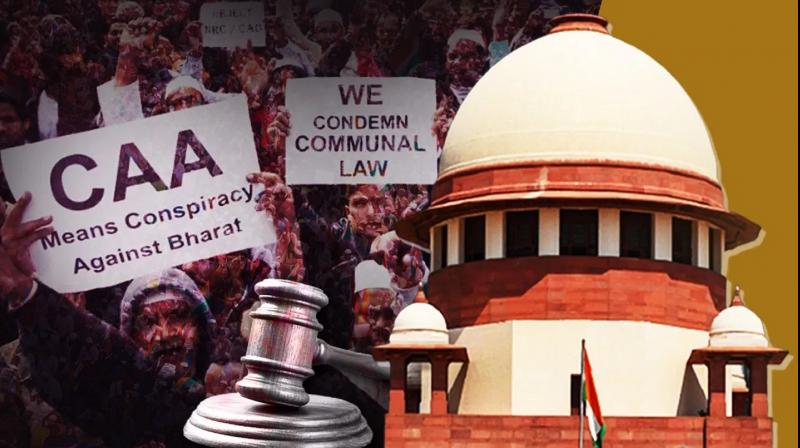 Supreme Court will hear today 237petitions filed against CAA News In Hindi