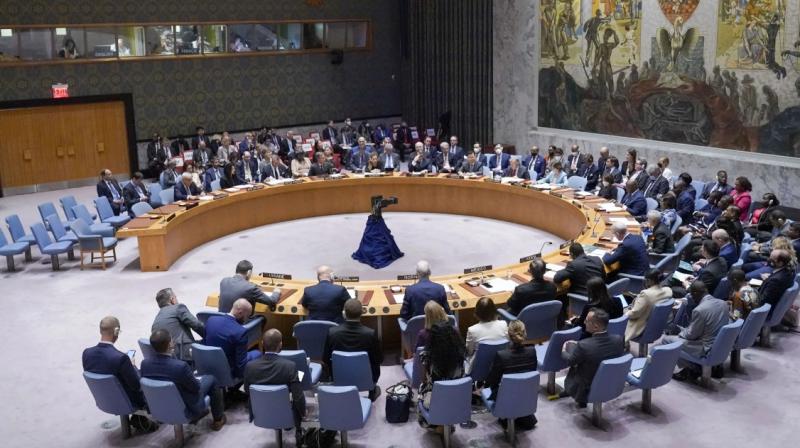 India abstains from voting on UNSC resolution to put humanitarian aid beyond sanctions