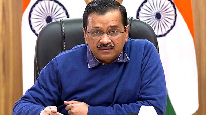 Delhi govt has given only 440 jobs since 2015, Kejriwal lying on figures: BJP