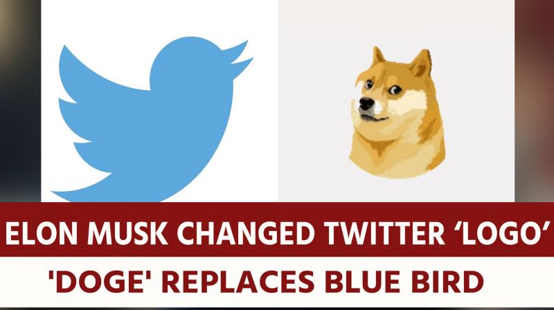 Elon Musk changes Twitter LOGO: 'Doge' replaces Blue Bird